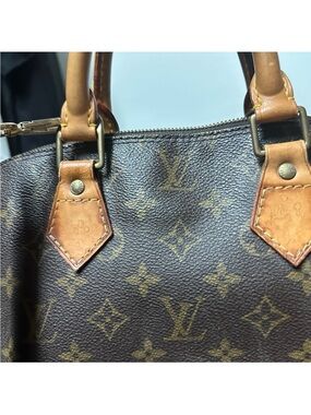 Louis Vuitton Monogram Canvas Top-Handle Satchel in Brown and Tan